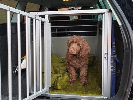 Koiran kuljetushäkki tarjous